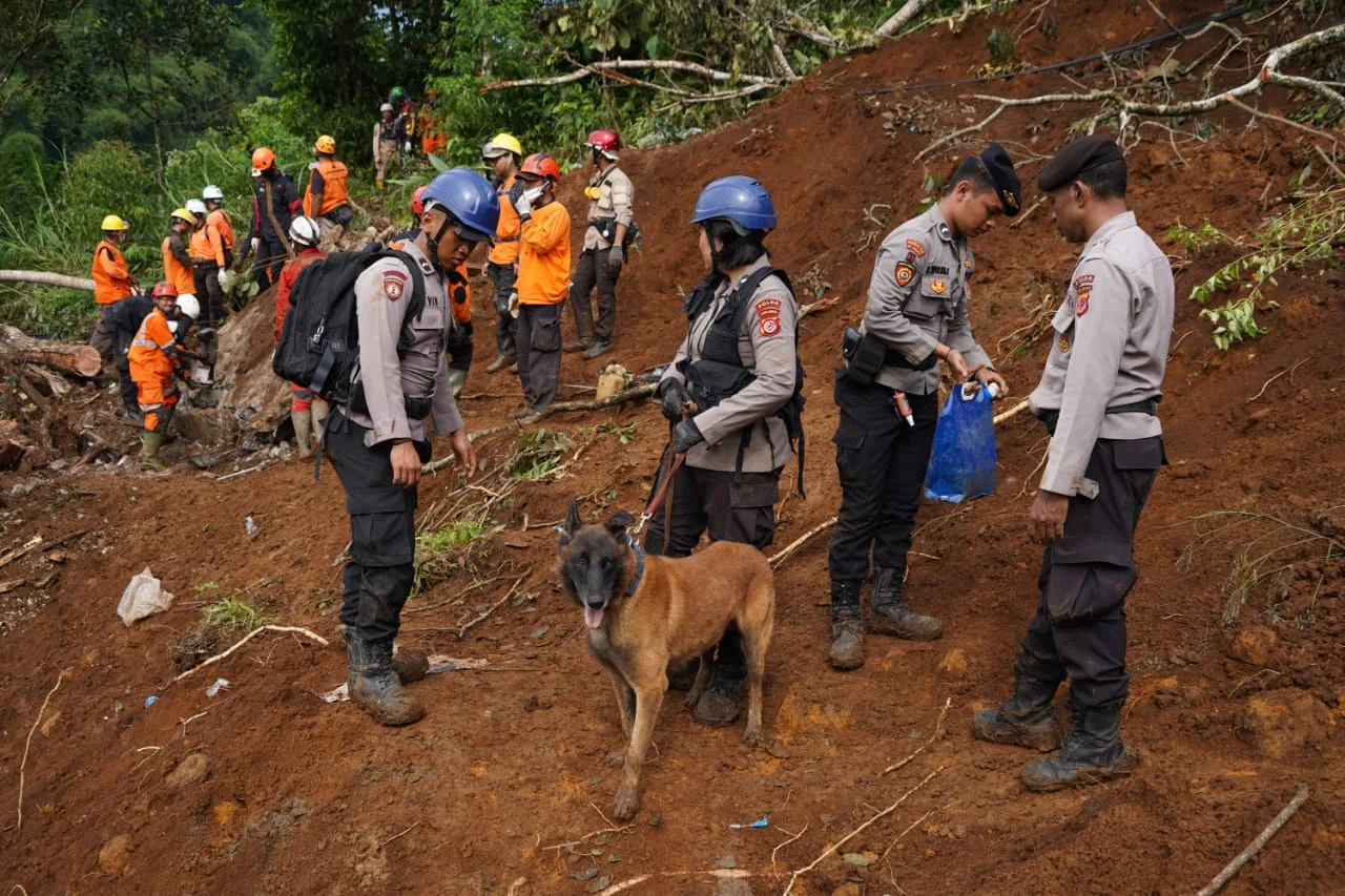 Polri Kirim Tim SAR dan Anjing K-9 untuk Bantu Pencarian Korban Gempa di NTT