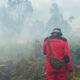 Polri Tegaskan Mayoritas Kebakaran Hutan Terjadi karena Pembakaran Sengaja, Bukan Faktor Alam