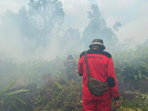 Polri Tegaskan Mayoritas Kebakaran Hutan Terjadi karena Pembakaran Sengaja, Bukan Faktor Alam