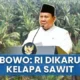 Prabowo Tertarik dengan Genteng dan Sepatu Ramah Lingkungan dari Limbah Sawit dan Kelapa Inovasi BRIN