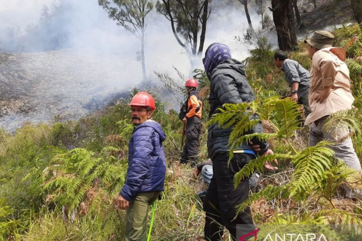 Pratikno Bantah Isu Sakit dan Mundur, Tegaskan Tetap Bertugas Tangani Karhutla di Bromo