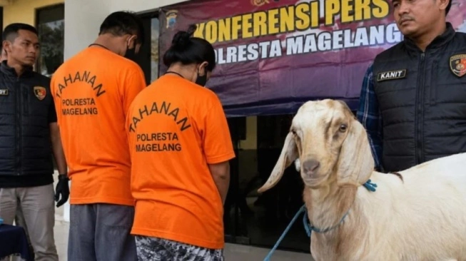 Suami-Istri Kompak Jadi Pelaku Pencurian Kambing di Magelang