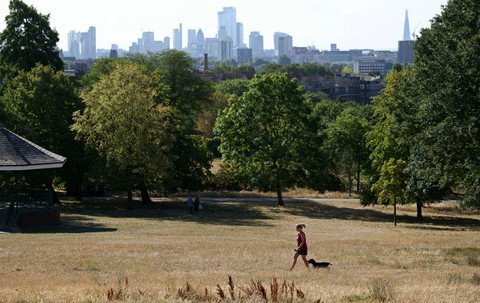 Taman-taman di London Mengalami Kekeringan Imbas Kurangnya Curah Hujan