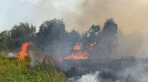 Waspada Karhutla di Banjarbaru, Warga Diminta Gunakan Masker