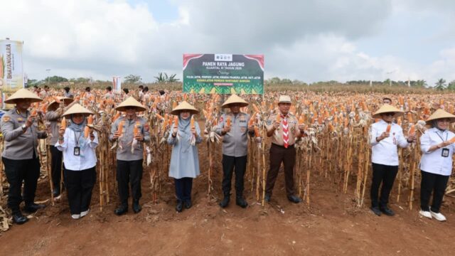 Panen Raya Jagung di Banyuwangi, Kapolda Jatim Dorong Pertanian Berbasis Riset