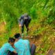 Dinas PU Pengairan Banyuwangi Jaga Keberlanjutan Sumber Air Lewat Penanaman Pohon