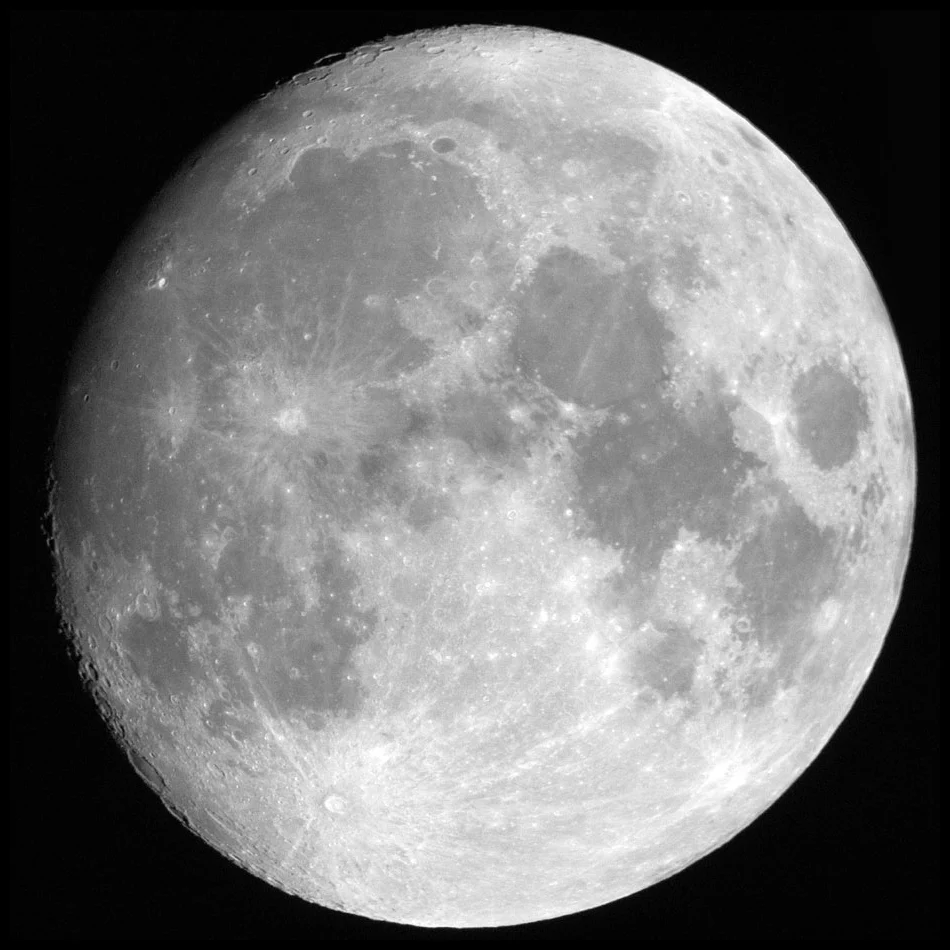 Bulan Ini, CAS Bongkar Alasan Lengkap Skandal 7 Pemain Naturalisasi Bodong Malaysia, Bisa Bikin Geger Dunia Sepak Bola
