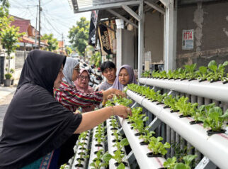 Dari Lorong Kota, PNM Dorong Warga Bangun Ketahanan Pangan Mandiri