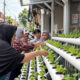 Dari Lorong Kota, PNM Dorong Warga Bangun Ketahanan Pangan Mandiri