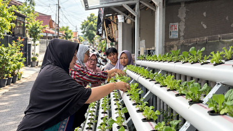 Dari Lorong Kota, PNM Dorong Warga Bangun Ketahanan Pangan Mandiri
