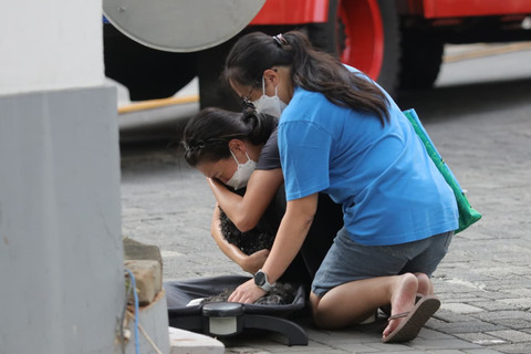 Foto Tangis Pilu Penghuni Pavilion, Anjing Kesayangan Tak Berdaya Saat Kebakaran