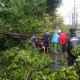 Kronologi Pohon Tumbang yang Menewaskan 2 Pemotor di Jalan Pandanaran Semarang