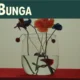 Lirik Lagu "Vas Bunga" dari Lomba Sihir Tambah Warna di Album "Setelah Obrolan Jam 3 Pagi"
