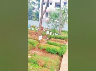Purbaya Live TikTok Bareng Anak, Gift yang Diterima Kembali Jadi Sorotan Publik
