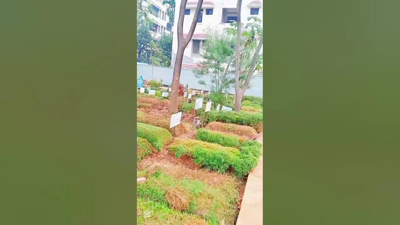 Purbaya Live TikTok Bareng Anak, Gift yang Diterima Kembali Jadi Sorotan Publik