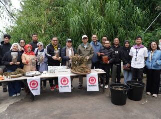 Purwaceng Dieng Dibidik Jadi Aset Ekonomi dan Wisata Berbasis Indikasi Geografis