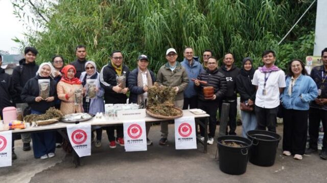 Purwaceng Dieng Dibidik Jadi Aset Ekonomi dan Wisata Berbasis Indikasi Geografis