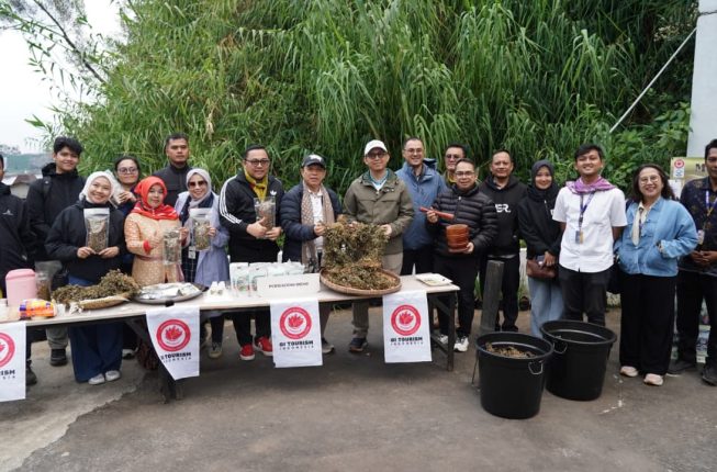Purwaceng Dieng Dibidik Jadi Aset Ekonomi dan Wisata Berbasis Indikasi Geografis