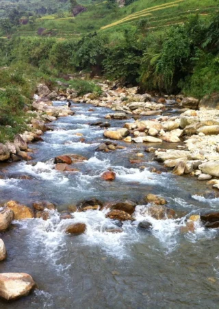 Sungai Silugonggo di Pati Mengering, Jutaan Ikan Mati dan Warga Panen Ikan Sapu-Sapu