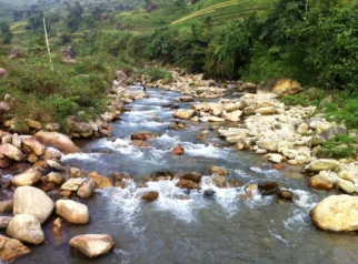 Sungai Silugonggo di Pati Mengering, Jutaan Ikan Mati dan Warga Panen Ikan Sapu-Sapu