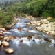 Sungai Silugonggo di Pati Mengering, Jutaan Ikan Mati dan Warga Panen Ikan Sapu-Sapu
