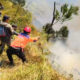 11.449 Hektare Karhutla di Jatim, Penyebabnya Dibakar hingga Kelalaian Manusia