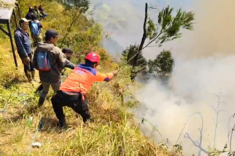 11.449 Hektare Karhutla di Jatim, Penyebabnya Dibakar hingga Kelalaian Manusia
