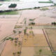 3 Ribu Hektare Sawah di Aceh Masih Rusak Berat Imbas Banjir Bandang Akhir 2025