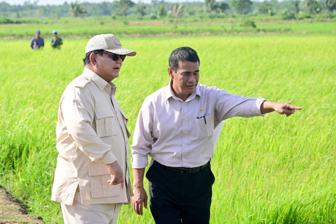 Amran Lapor ke Presiden Prabowo, Klaim Stok Beras RI Aman hingga Juli 2027