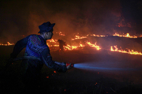 BNPB Catat 17.942 Hektare Area Masih Terbakar, Kalteng Terluas