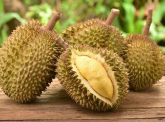 Ekspor Buah Tropis Indonesia ke China Capai Rp 5,94 Triliun dengan Durian sebagai Penyumbang Terbesar