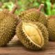 Ekspor Buah Tropis Indonesia ke China Capai Rp 5,94 Triliun dengan Durian sebagai Penyumbang Terbesar