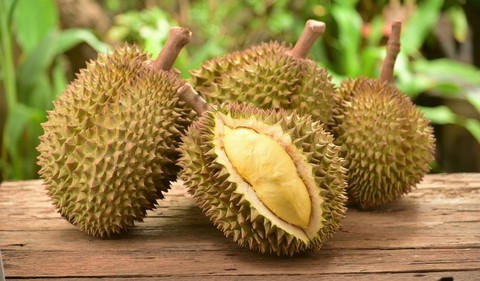 Ekspor Buah Tropis Indonesia ke China Capai Rp 5,94 Triliun dengan Durian sebagai Penyumbang Terbesar
