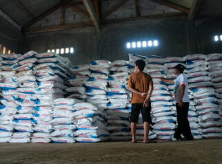 Harga Pupuk Turun 20 Persen, Petani Makin Sejahtera di 2 Tahun Pemerintahan Prabowo