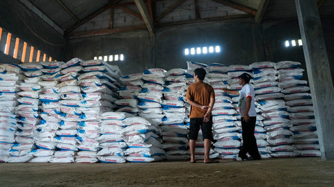 Harga Pupuk Turun 20 Persen, Petani Makin Sejahtera di 2 Tahun Pemerintahan Prabowo