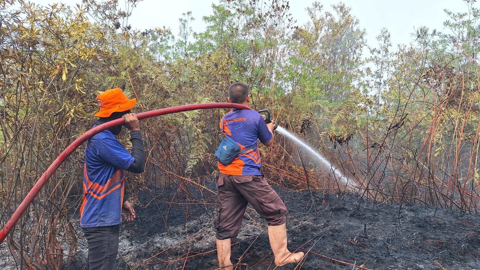 Karhutla Mulai Mengancam Kawasan IKN, Polri Kerahkan 100 Personel Brimob