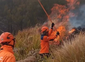 Korban Meninggal Akibat Karhutla Bromo Bertambah, Total 6 Orang