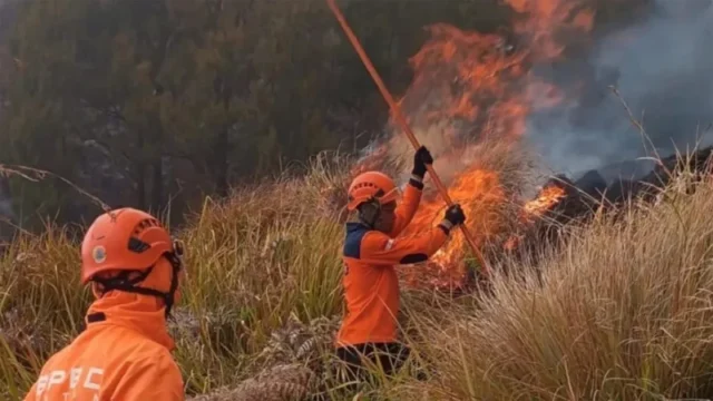 Korban Meninggal Akibat Karhutla Bromo Bertambah, Total 6 Orang