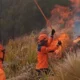 Korban Meninggal Akibat Karhutla Bromo Bertambah, Total 6 Orang