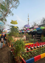 Menyulap Kolong Tol Penuh Sampah Jadi Kebun Sayur di Warakas, Jakarta Utara