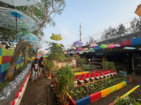 Menyulap Kolong Tol Penuh Sampah Jadi Kebun Sayur di Warakas, Jakarta Utara