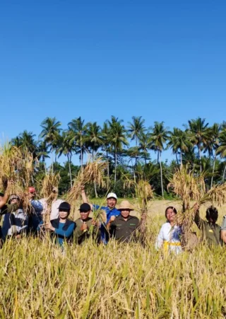 Nilai Tukar Petani September 2026 Naik Tipis, Biaya Produksi Membengkak