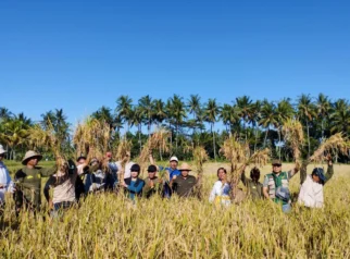 Nilai Tukar Petani September 2026 Naik Tipis, Biaya Produksi Membengkak