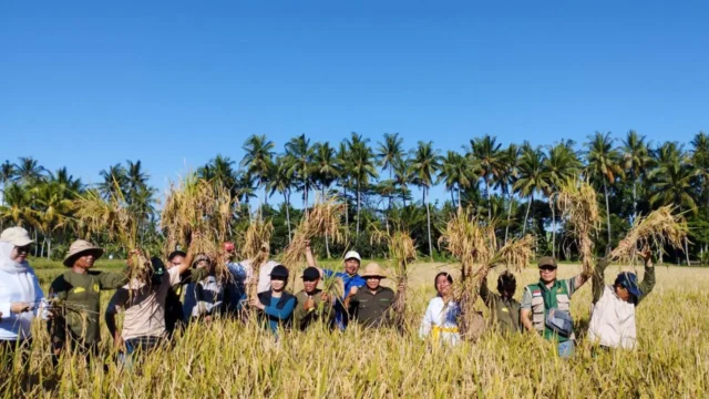 Nilai Tukar Petani September 2026 Naik Tipis, Biaya Produksi Membengkak