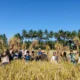 Nilai Tukar Petani September 2026 Naik Tipis, Biaya Produksi Membengkak