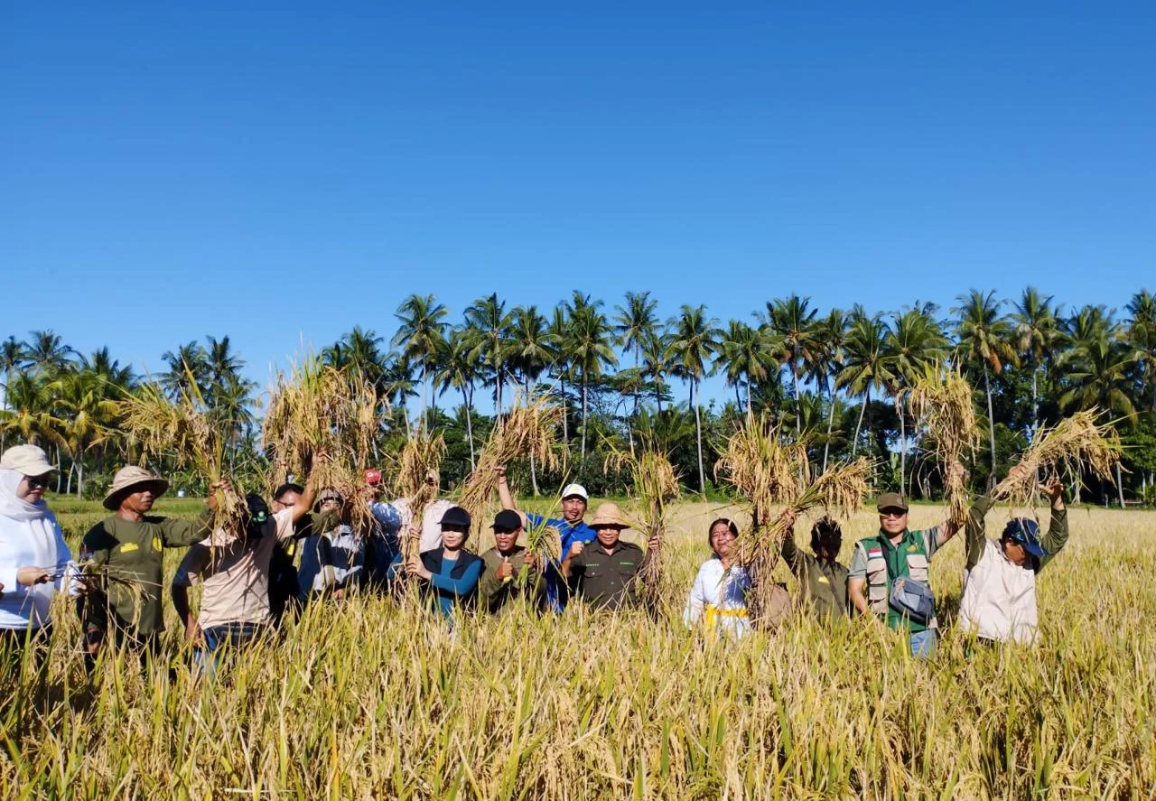 Nilai Tukar Petani September 2026 Naik Tipis, Biaya Produksi Membengkak
