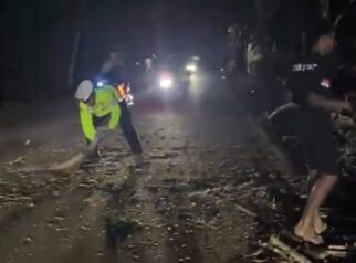 Pohon Tumbang Tutup Jalan Rangkasbitung-Cipanas