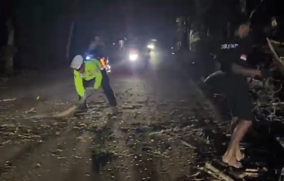 Pohon Tumbang Tutup Jalan Rangkasbitung-Cipanas
