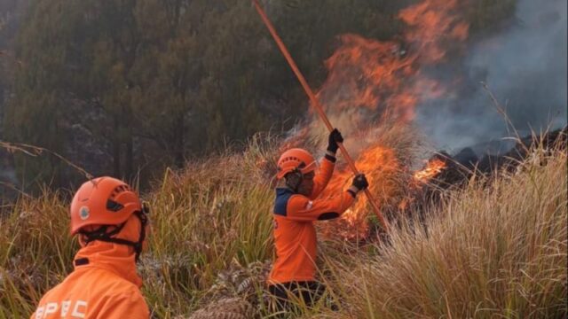 Relawan Gugur Korban Karhutla Bromo Jadi 6 Orang, Ini Nama-namanya