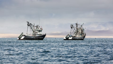 Bajak Laut Somalia Membajak Kapal Nelayan Iran di Perairan Puntland